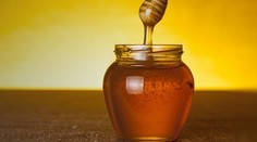 Tajarin na prepustenom masle s hríbikmi a syrom Grana Padano