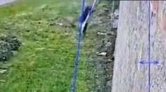 VIDEO: Boss talianskej mafie utiekol z prísne stráženého väzenia. Stačili mu na to plachty z postele