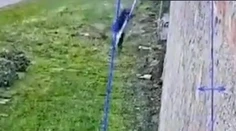 VIDEO: Boss talianskej mafie utiekol z prísne stráženého väzenia. Stačili mu na to plachty z postele
