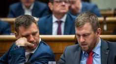 Obvinení na kandidátkach. Niektoré strany sa k nim hrdo hlásia, iné radšej mlčia