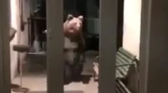 VIDEO: Nečakaná návšteva na polícii v Starom Smokovci. Pozrite sa, kto stál pred dverami