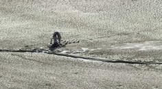 Vo vypustenom tajchu v Novej Bani ostalo nebezpečné bahno. Uviazli v ňom deti aj dospelí