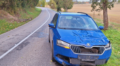 Pozor, dvíha sa vietor. Na Záhorí spadol na idúce auto strom