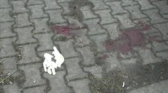 Dobitý drevorubač zomrel pre pár cigariet