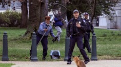 FOTOGRAFIE TÝŽDŇA: Premiér Heger na Ukrajine, odchyt líšky na Capitol Hill či trosky ukrajinského Antonova