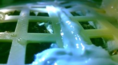 Vyklíčená rastlina na Mesiaci neprežila noc a zamrzla