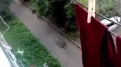 Hrozivé zábery na videu. Dieťa vypadlo z okna, zachytili ho do prikrývky