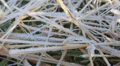 Slovensko čaká koncom týždňa výraznejšie ochladenie