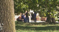 Mladiství sa nevrátili do reedukačného centra. Náklady s ich hľadaním platíme všetci