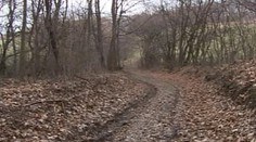 Na piatich podgurážených mužov pri Nitre strieľal poľovník