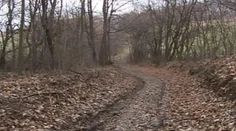 Na piatich podgurážených mužov pri Nitre strieľal poľovník