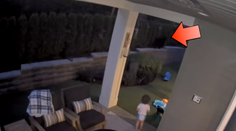 Takého návštevníka nechceli. Rodinu na dvore prekvapil medveď, dieťa sa za ním nadšene rozbehlo