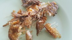 Hovorí sa im sviatky pokoja, často nám idylku prekazí rybacia kosť alebo žalúdok