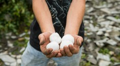 V Maribore padali krúpy veľkosti vajca