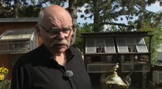 Tvrdí, že chovateľstvo je vysoko návykové a skvelá psychohygiena. Peter Vačok sa chovu holubov venuje celý život