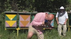 Silvestrovský zostrih „trapasov“ pred kamerou: O zábavné momenty sa postarali aj televízni redaktori