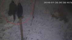 Pat a Mat? Vandali nakrútili samých seba pri čine, ani o tom netušili