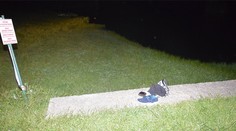 Tragédia v obci Ihráč. Muž (†35) skočil do rybníka, viac sa už nevynoril