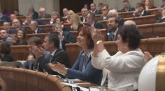Opozícia hovorí o zázraku: Presadili zmeny pre ľudí s autizmom či Aspergerovovým syndrómom