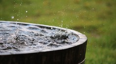 Vedci upozorňujú, že dažďová voda už nie je pitná nikde na svete. Varujú pred PFAS