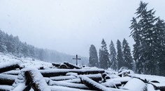 Zažili sme rekordne chladný apríl. Boli miesta, kde aj mrzlo