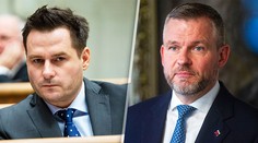 Náhlik priznal vilu vo Vrakuni, ktorú využíva Pellegrini. Do majetkového priznania ju doplnil až po medializácii