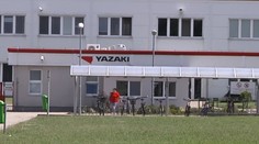 Stovky zamestnancov spoločnosti YAZAKI Michalovce majú strach. Šepká sa o prepúšťaní