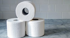 V Gemerskej Hôrke vznikne 70 pracovných miest, investor žiada od vlády úľavy na daniach