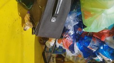 Hyenizmus v Bratislave! Živého psíka zavreli do kufra a počas horúčav hodili do smetiaka