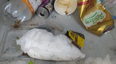 Zálohovanie v Tatrách komplikujú neposlušní turisti. Okrem fliaš v nádobách končia jedlo aj plienky