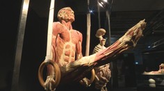 Kontroverzná výstava v obchodnom centre v Bratislave. Zakonzervované mŕtve telá majú vzdelávať