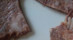 Alena si kúpila tlačenku: Keď ju rozbalila, našla poriadnu nechutnosť