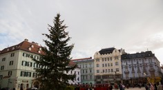 V Bratislave už stojí 14-metrový vianočný stromček
