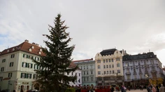 V Bratislave už stojí 14-metrový vianočný stromček