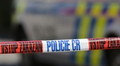 Muž v afekte vyhodil psa z okna na piatom poschodí. Zviera po páde na chodník uhynulo