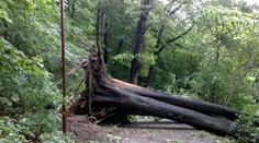 Bratislava dostala v noci zabrať. Hasiči mali plné ruky práce