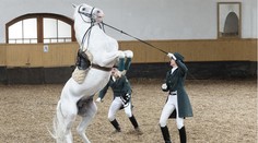 Lipican mieri do Zoznamu svetového kultúrneho dedičstva UNESCO