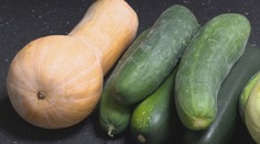 Vedeli ste, že aj cuketou sa môžete otráviť? Najmä, ak má neobvykle horkú chuť