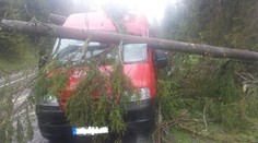 Tragédia vo Vysokých Tatrách: Auto s vodičom privalili hneď dva stromy!