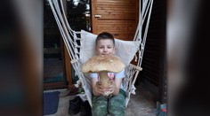 FOTO: Marek sa pochválil poriadnym úlovkom. Pri Sabinove našiel dubák väčší ako hlava