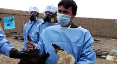 V Nemecku zatvorili ZOO, vtáčia chrípka zabila emu