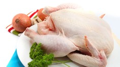 Šokujúca štúdia: Polovica hydiny v nemeckých supermarketoch obsahuje nebezpečné baktérie