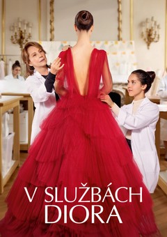 V službách Diora