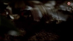 1. epizóda - Karibské tajomstvo