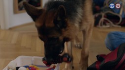 4. epizóda - Diagnóza vražda