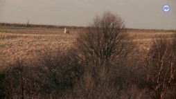 16. epizóda