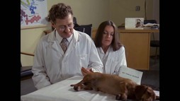 5. epizóda - Arabela na úteku