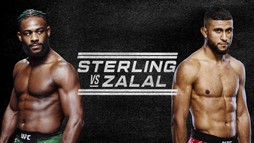 UFC Fight Night: Sterling vs. Zalal