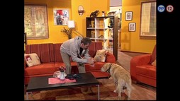 13. epizóda - Šváby