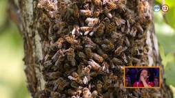 Jaro Zápala a Juro Viršík